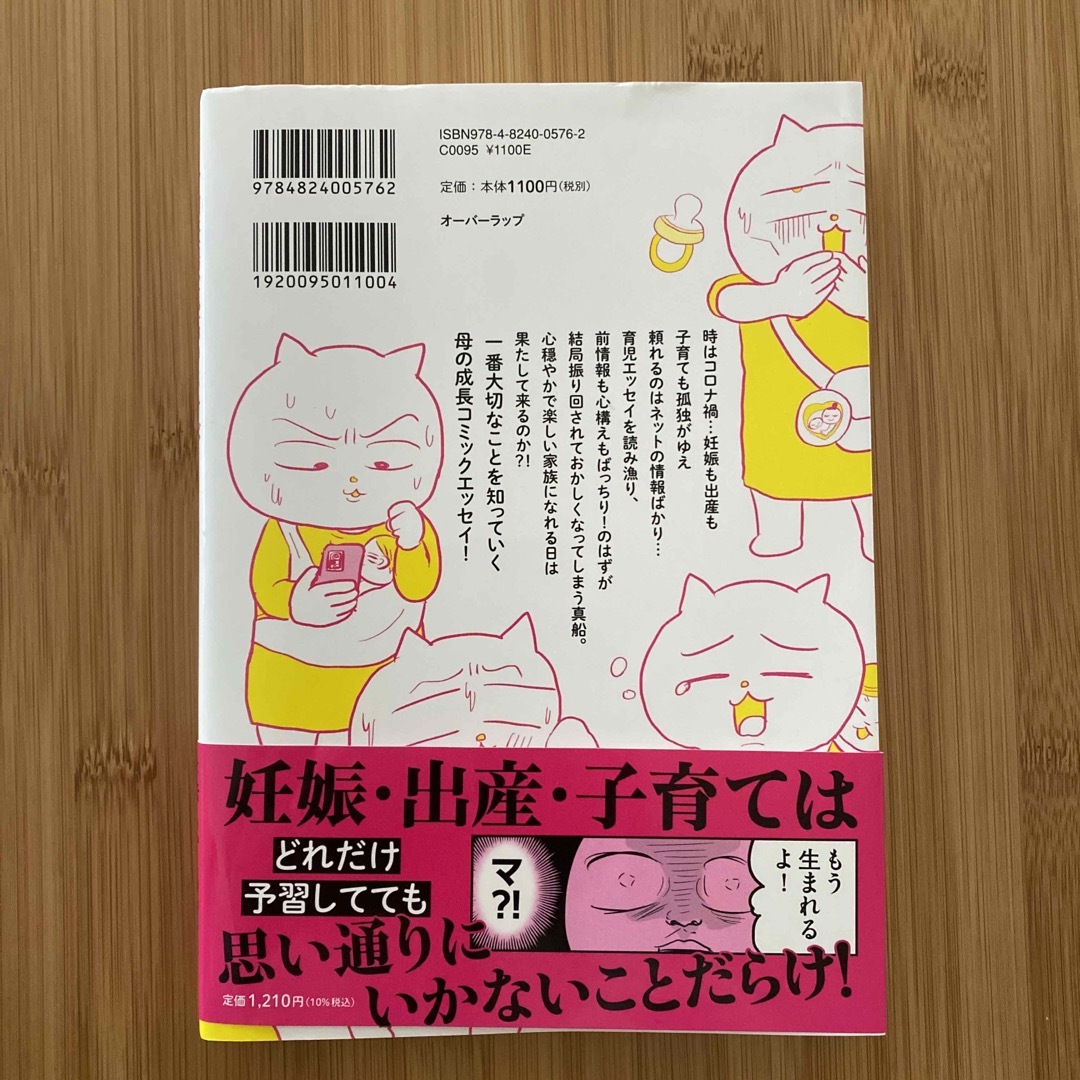 令和妊婦、孤高のさけび！頼りになるのはスマホだけ？！ エンタメ/ホビーの本(文学/小説)の商品写真