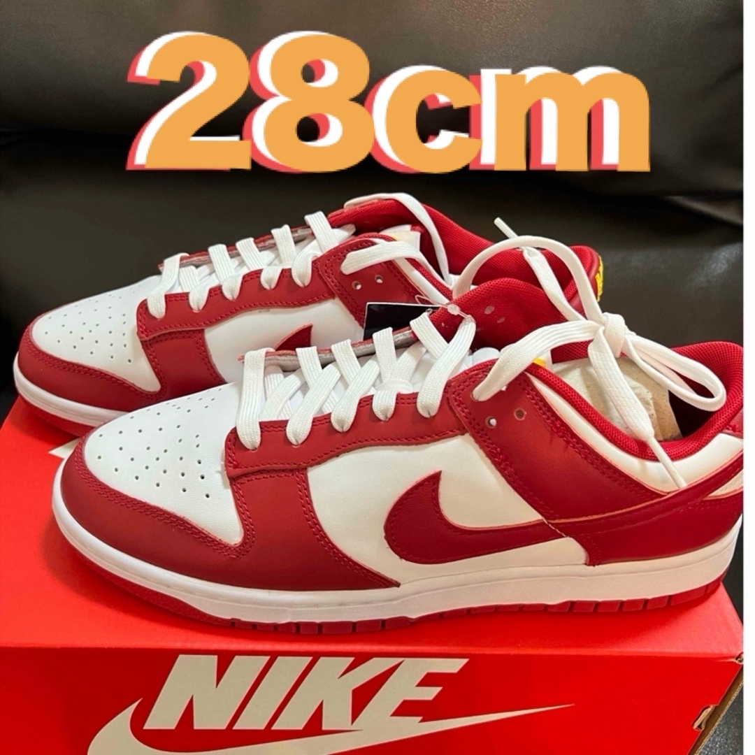 NIKE Dunk low GYM RED 28cm