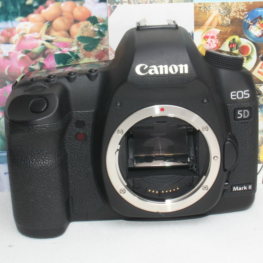 ❤️予備バッテリー付き❤️Canon EOS 5D mark II ダブルレンズ