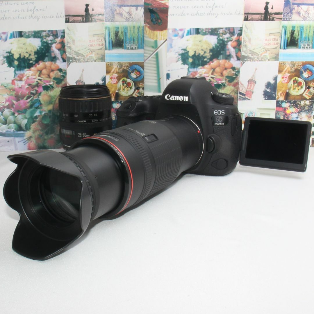 Canon - ❤️予備バッテリー付き❤️EOS 6d mark ii 超望遠 ダブルズーム❤️