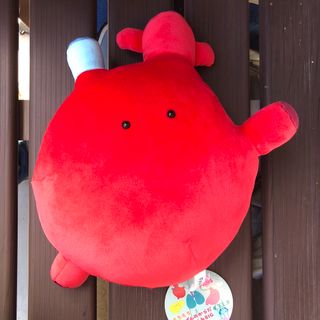 にんげんのからだ　しんぞう　ぬいぐるみ(ぬいぐるみ)