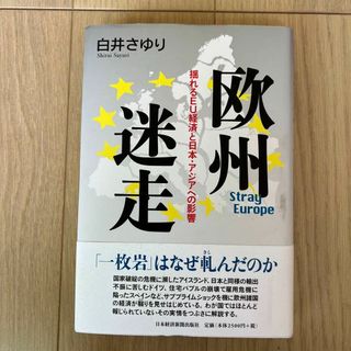 欧州迷走 : 揺れるEU経済と日本・アジアへの影響(ビジネス/経済)