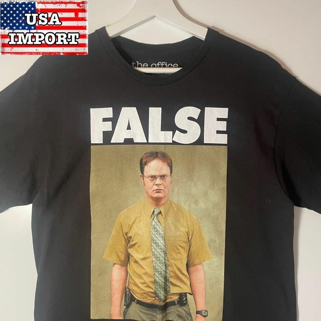 M実寸L着丈USA【アメリカ❗️】TシャツThe Office FALSEフォトプリント