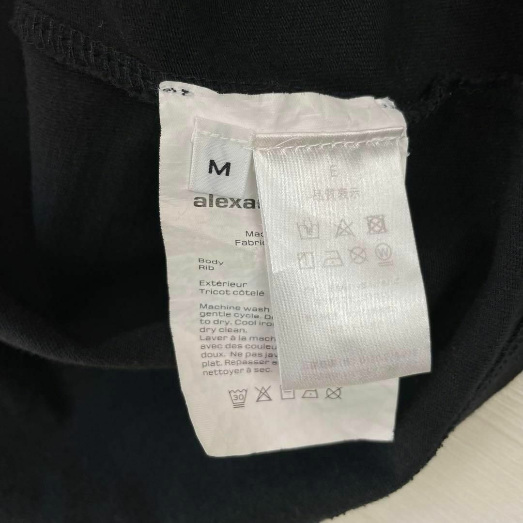 Alexander Wang - 完売品 登坂広臣着用 alexander wang Tシャツ メンズ