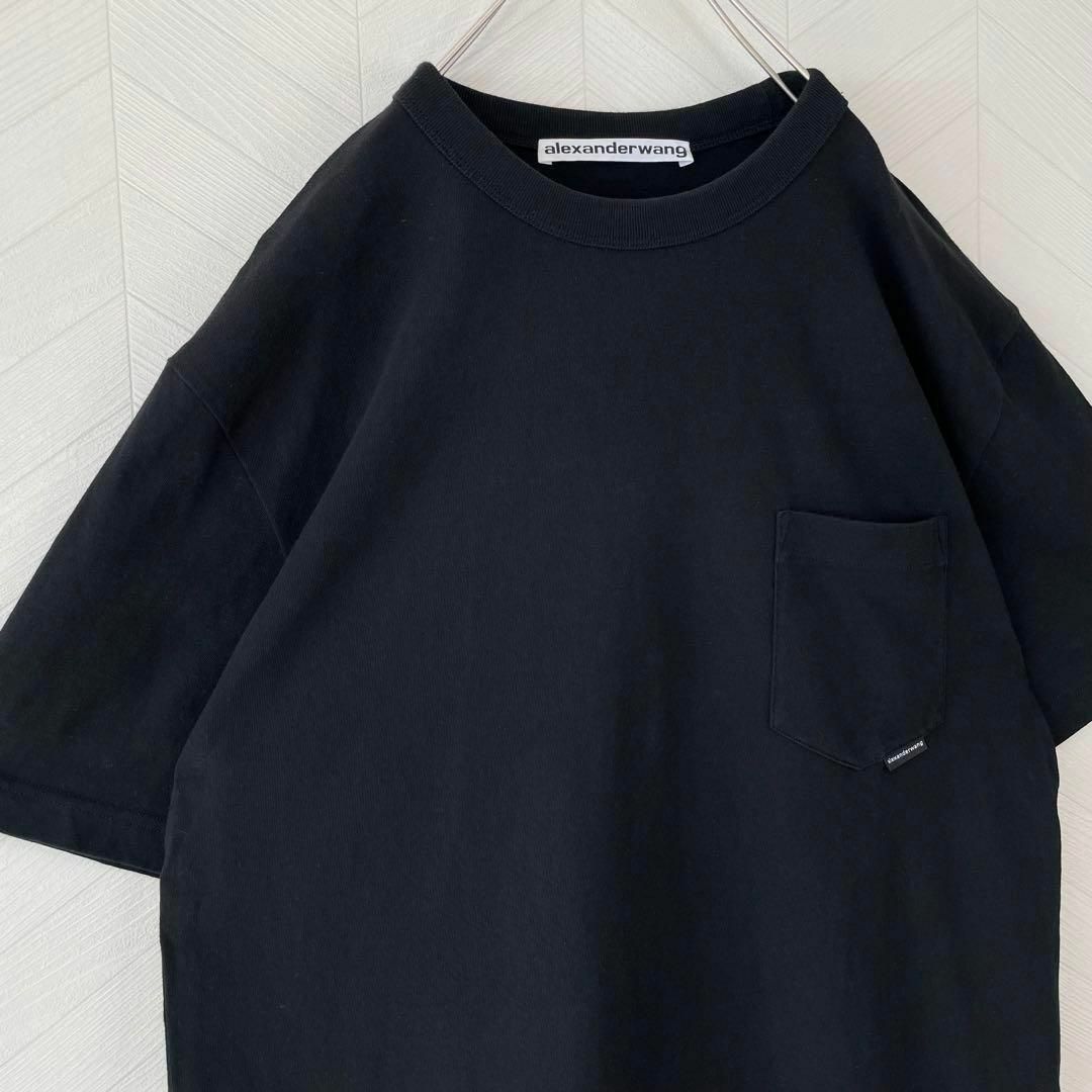 Alexander Wang - 完売品 登坂広臣着用 alexander wang Tシャツ メンズ