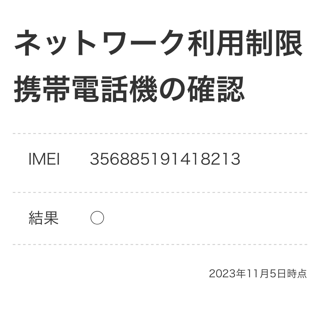 チョコラテイングレス様、専用iPhone13 Pro 256GB シルバー