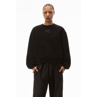 アレキサンダーワン(Alexander Wang)のalexander wang☆新品未使用フロントロゴ入りオーバーサイズトレーナー(トレーナー/スウェット)