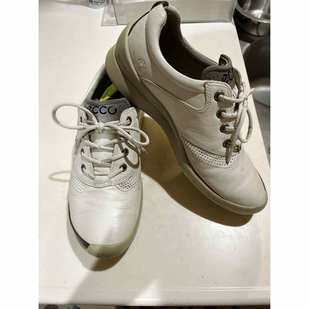 eccoエコゴルフシューズ38