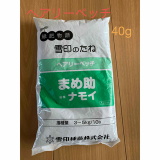 ヘアリーベッチ　種子　40g(その他)
