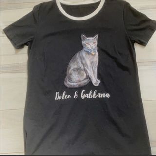 ドルチェアンドガッバーナ(DOLCE&GABBANA)のドルチェ&ガッパーナ　猫柄Tシャツ最終値引き(Tシャツ(半袖/袖なし))