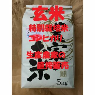 ★新米★[玄米]特別栽培米コシヒカリ５kg生産農家の直接販売(米/穀物)