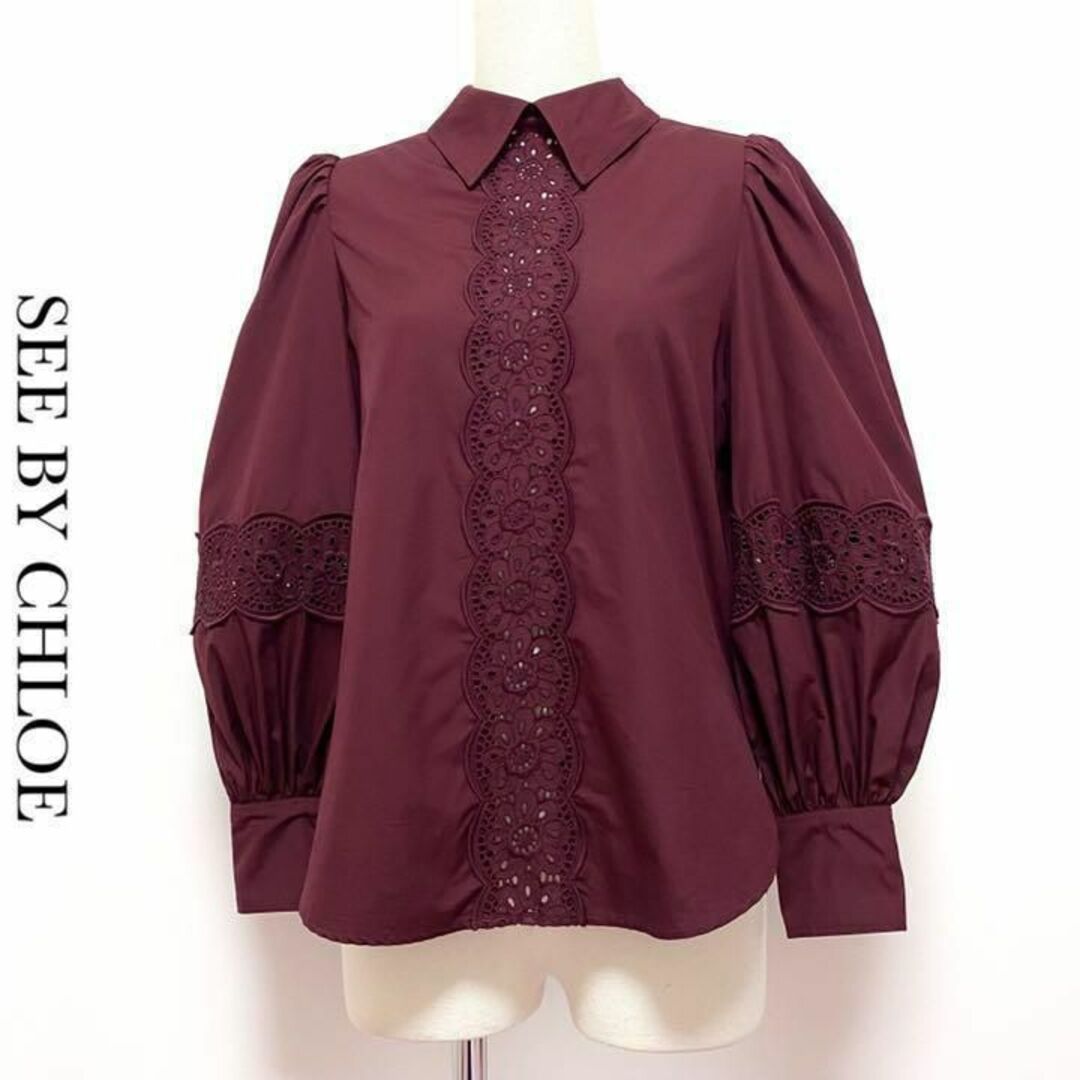 Chloé blouse.シャツ/ブラウス(長袖/七分)