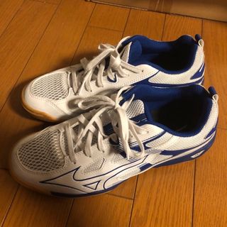 ミズノ(MIZUNO)の[ミズノ] 卓球シューズ ウエーブカイザーブルク 7(卓球)