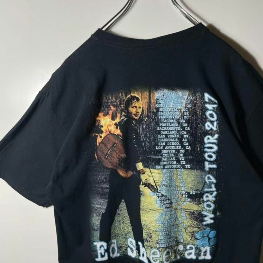 【アメリカ❗️】ed sheeran バンドTシャツ　フルーツオブザルームL