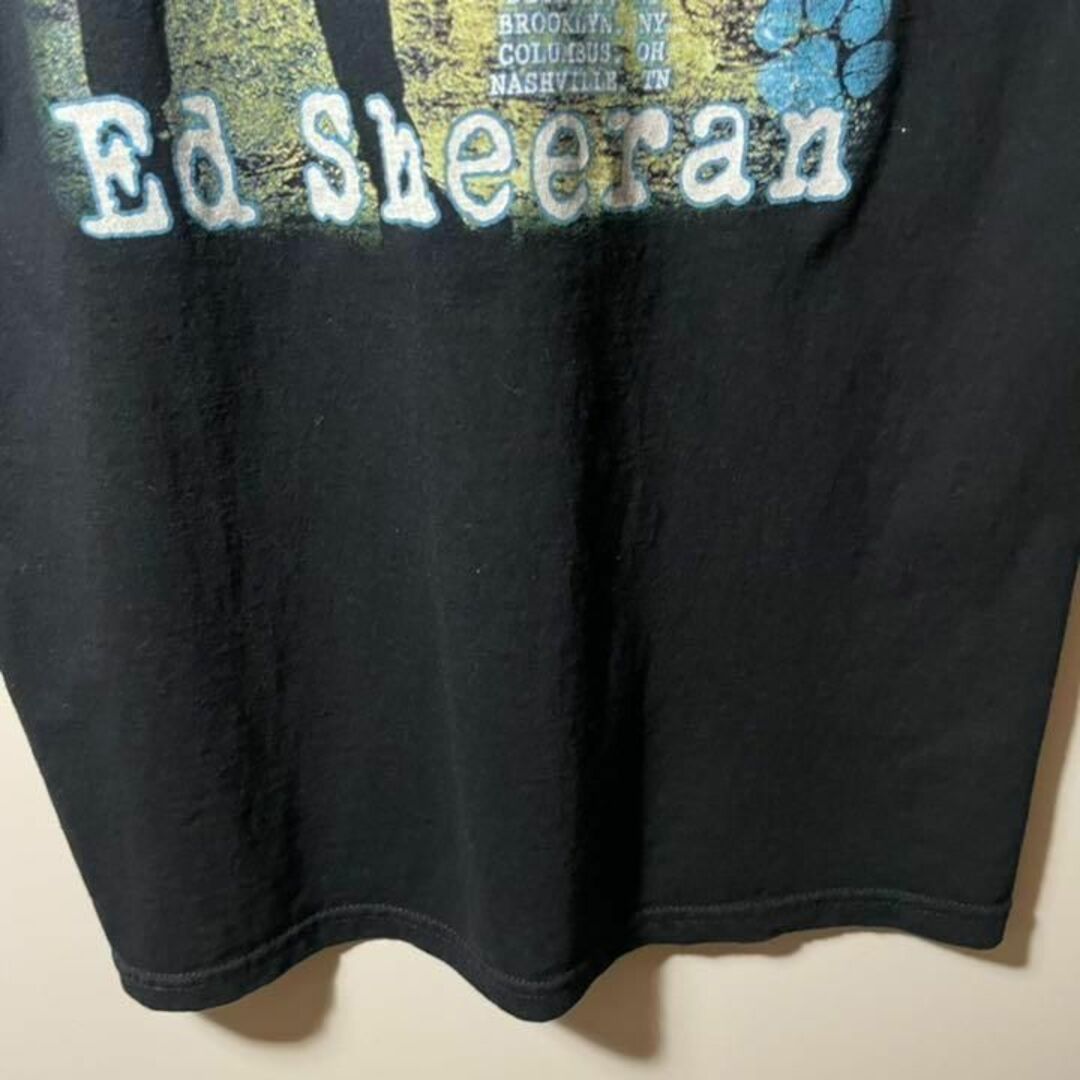 【アメリカ❗️】ed sheeran バンドTシャツ　フルーツオブザルームL