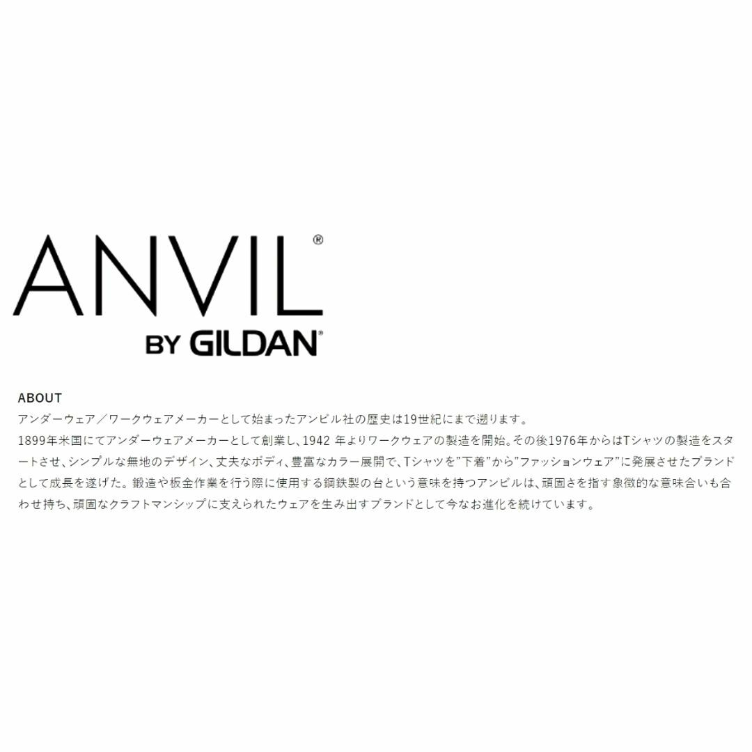 Anvil(アンビル)のラインソックス クルー ANVIL メンズ / パープル イエロー M サイズ  メンズのレッグウェア(ソックス)の商品写真