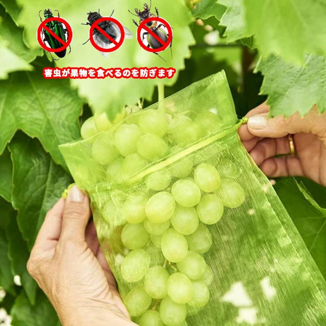 【色: エメラルドグリーン】果物袋 保護ネット 防虫 ネット 100枚入 果樹用 1