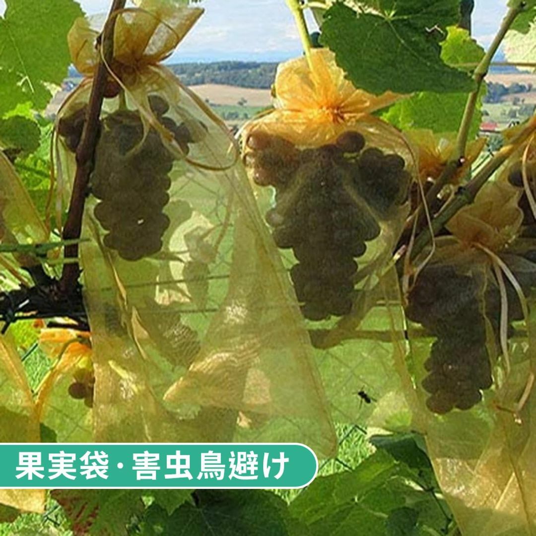 【色: エメラルドグリーン】果物袋 保護ネット 防虫 ネット 100枚入 果樹用 4