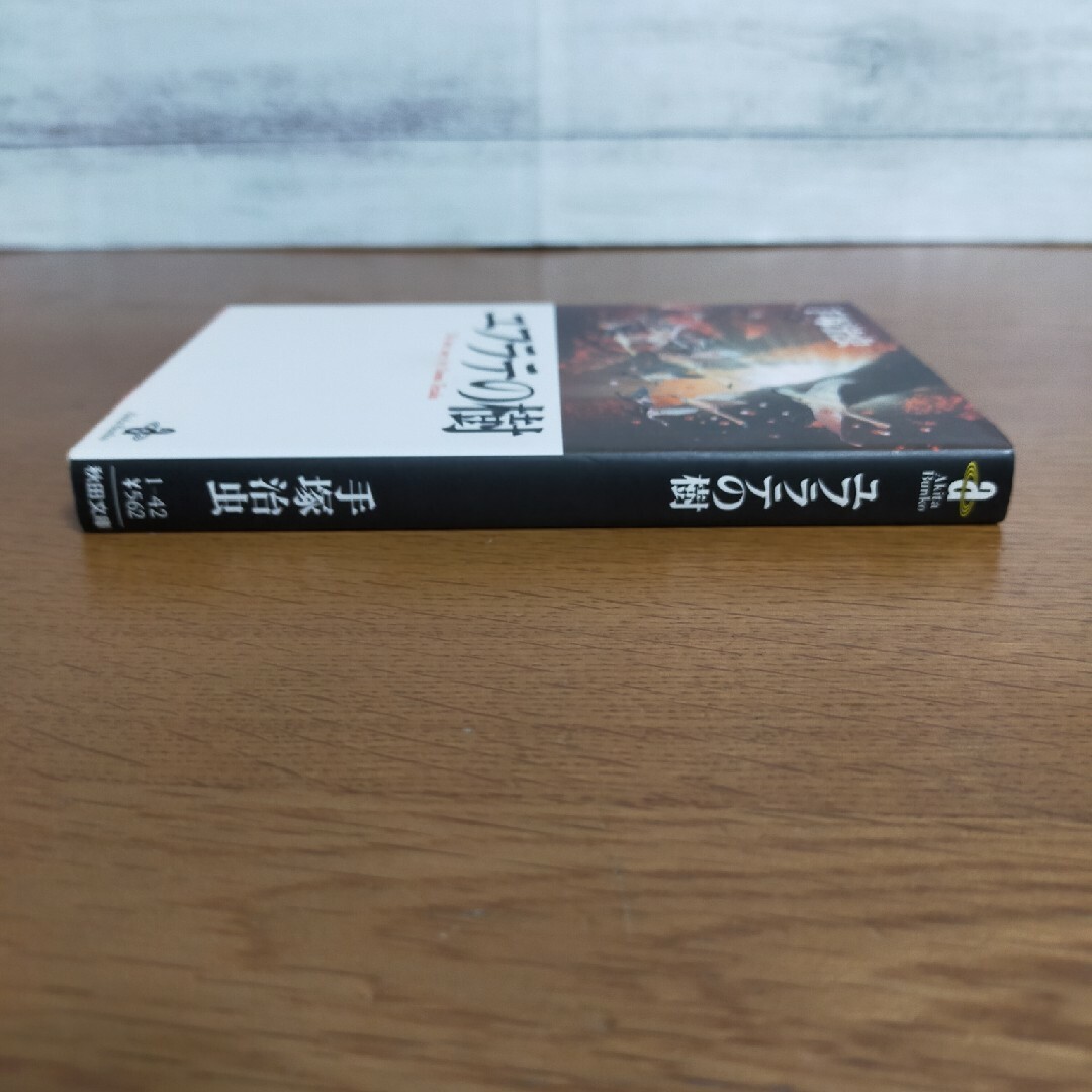 秋田書店(アキタショテン)のユフラテの樹　秋田文庫 エンタメ/ホビーの漫画(その他)の商品写真