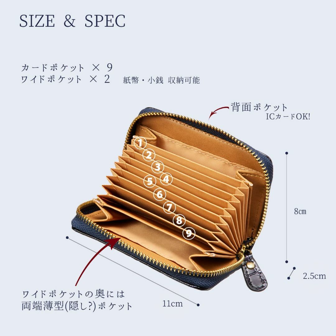 【色: DA-Blue】VOICE イタリア製 TUSCANIA 社製 牛革 カ 2