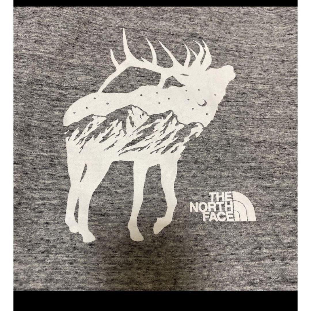 THE NORTH FACE(ザノースフェイス)のTHE NORTH FACE　ノースフェイス　メンズTシャツ　Lサイズ メンズのトップス(Tシャツ/カットソー(半袖/袖なし))の商品写真