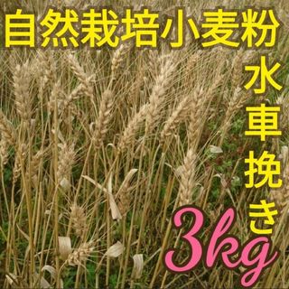 自然栽培 水車挽き中力粉 3kg 熊本県産(米/穀物)