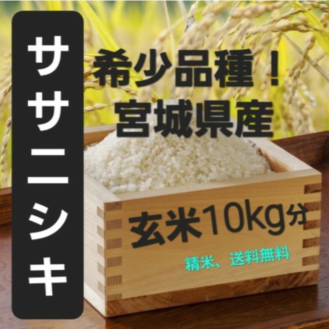 玄米10kg分　精米無料！　米　新米】宮城県産　ササニシキ