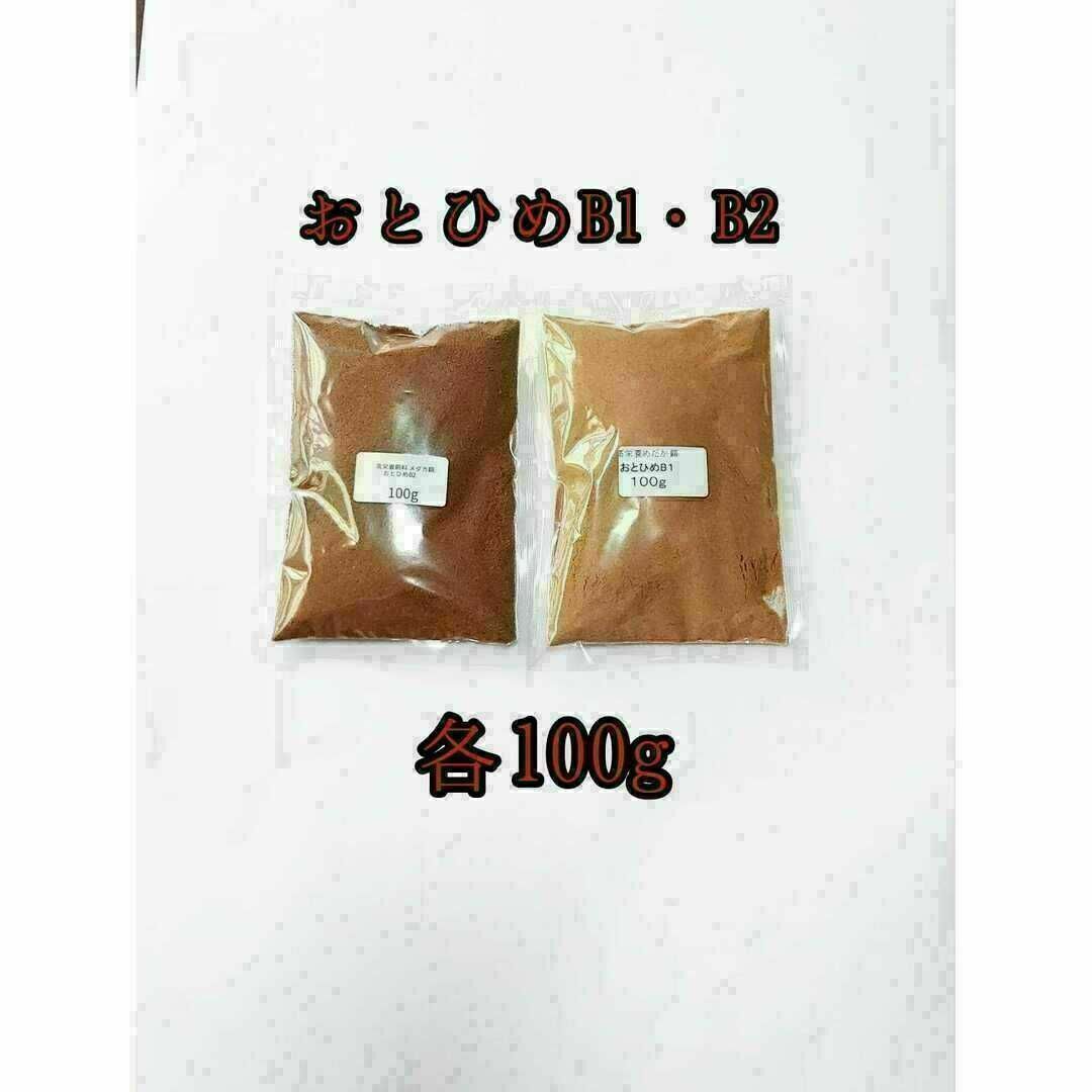 高栄養飼料 おとひめ 各 使い比べ メダカ 熱帯魚 グッピー   フリマアプリ ラクマ