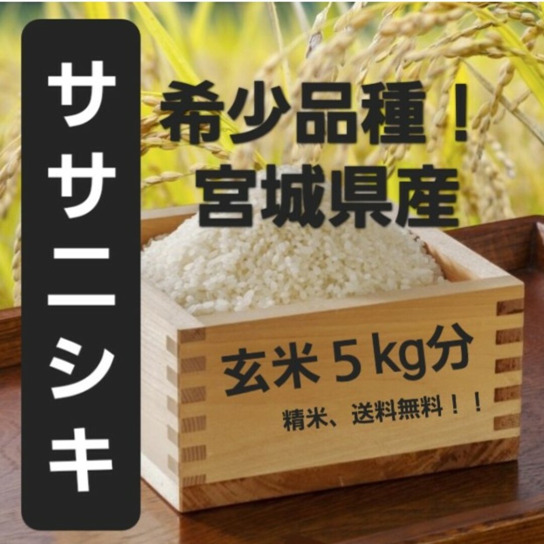 新米】宮城県産　shop｜ラクマ　by　ササニシキ　玄米5kg分　令和5年産の通販　精米無料！　オレンジ's