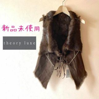 セオリーリュクス ベスト/ジレ(レディース)の通販 100点以上 | Theory