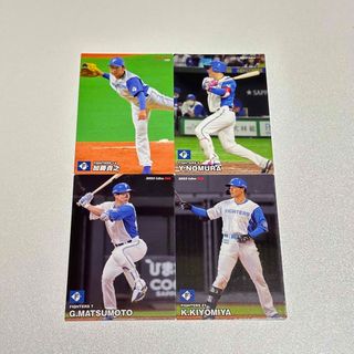 北海道日本ハムファイターズの通販 6,000点以上 | 北海道日本ハム