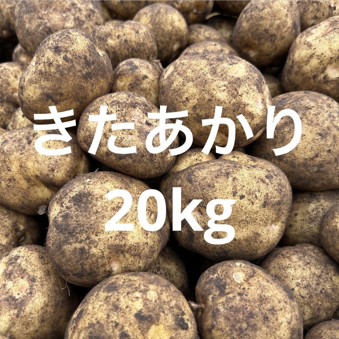 北海道産　キタアカリ20kg 食品/飲料/酒の食品(野菜)の商品写真