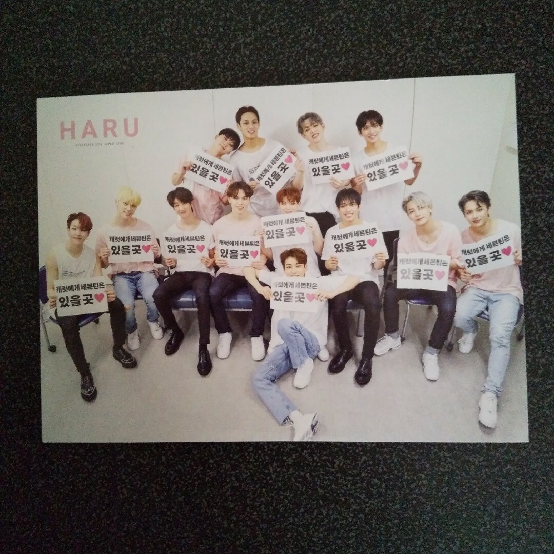 【大判フォトカード&トレカ2種付】SEVENTEEN DVD「HARU」ハルコン 4
