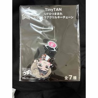 ボウダンショウネンダン(防弾少年団(BTS))のTinytan テテ アクキー(アイドルグッズ)