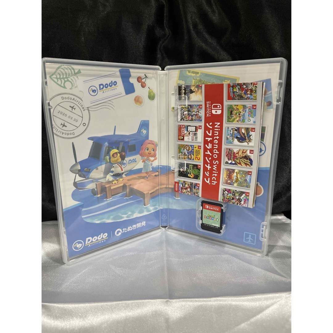 あつまれ どうぶつの森 Switch 2