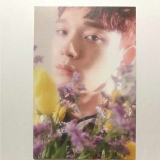 エクソ(EXO)の★EXO チェンベクシ チェン ポストカード Blooming Days(アイドルグッズ)