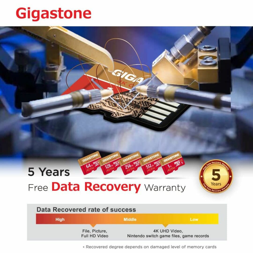 【色:256GBGamePro1-Pack】【5年保証 】Gigastone マ