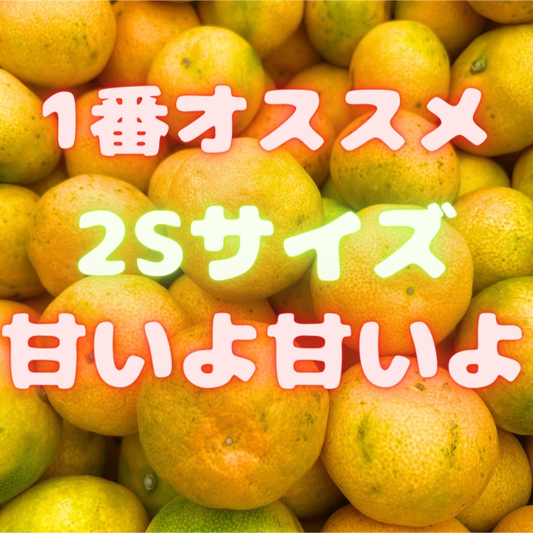 今年累計2500箱販売！　山北みかん 5キロ　14 食品/飲料/酒の食品(フルーツ)の商品写真