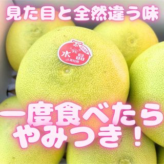 ❗️お試し価格今だけこのお値段❗️めっちゃ甘い　水晶文旦　14(フルーツ)