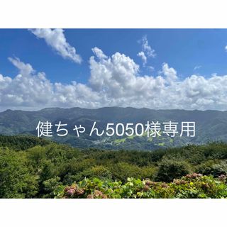 健ちゃん5050様専用(漬物)