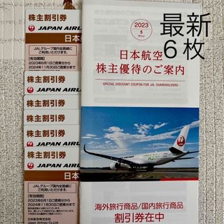 JAL✈️株主優待割引券6枚&海外国内商品券冊子☺️✨ - その他