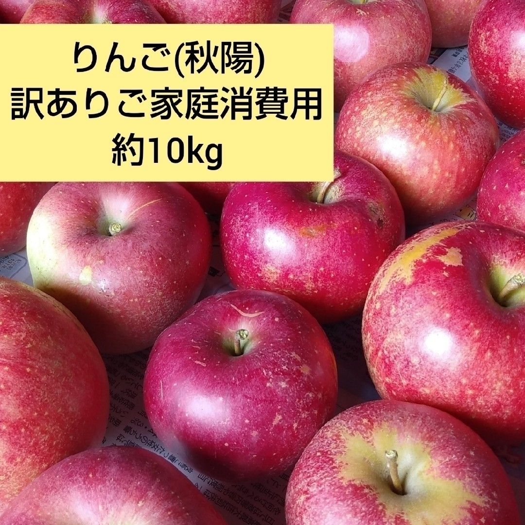 りんご(秋陽)訳ありご家庭消費用 約10kg 食品/飲料/酒の食品(フルーツ)の商品写真