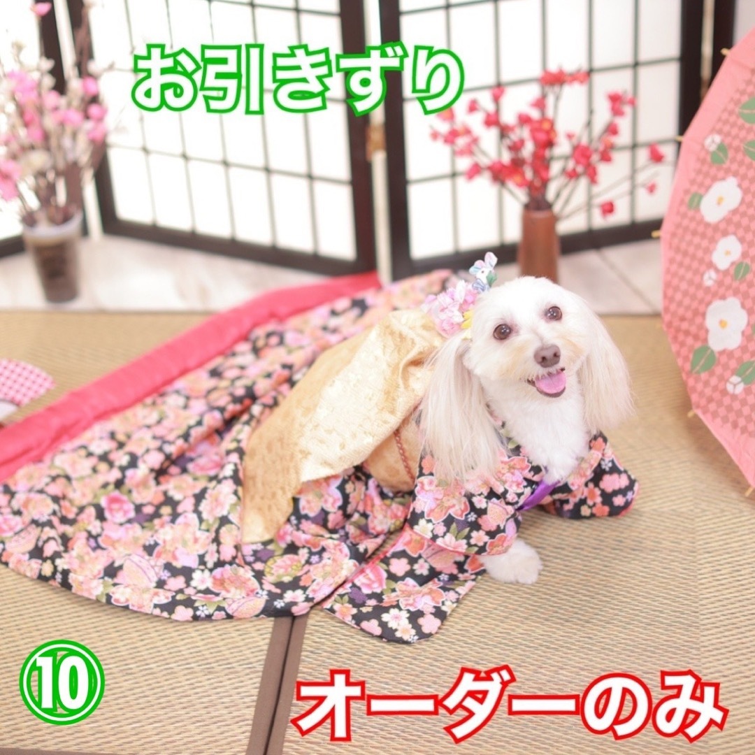 犬服 ハンドメイド 小型犬 着物 DL3③ 9