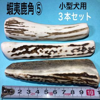 鹿の角　犬用品　小型犬用３本(犬)