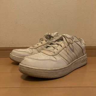 アディダス(adidas)の28.5cm | adidas | TEAM COURT | WHITE(スニーカー)