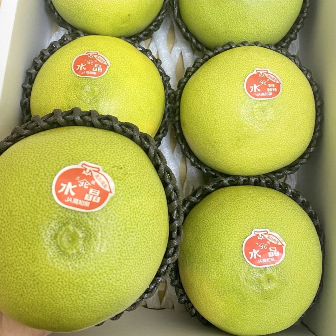 14高知特産 水晶文旦  約3kg 6玉 専用化粧箱 文旦 秀品 食品/飲料/酒の食品(フルーツ)の商品写真