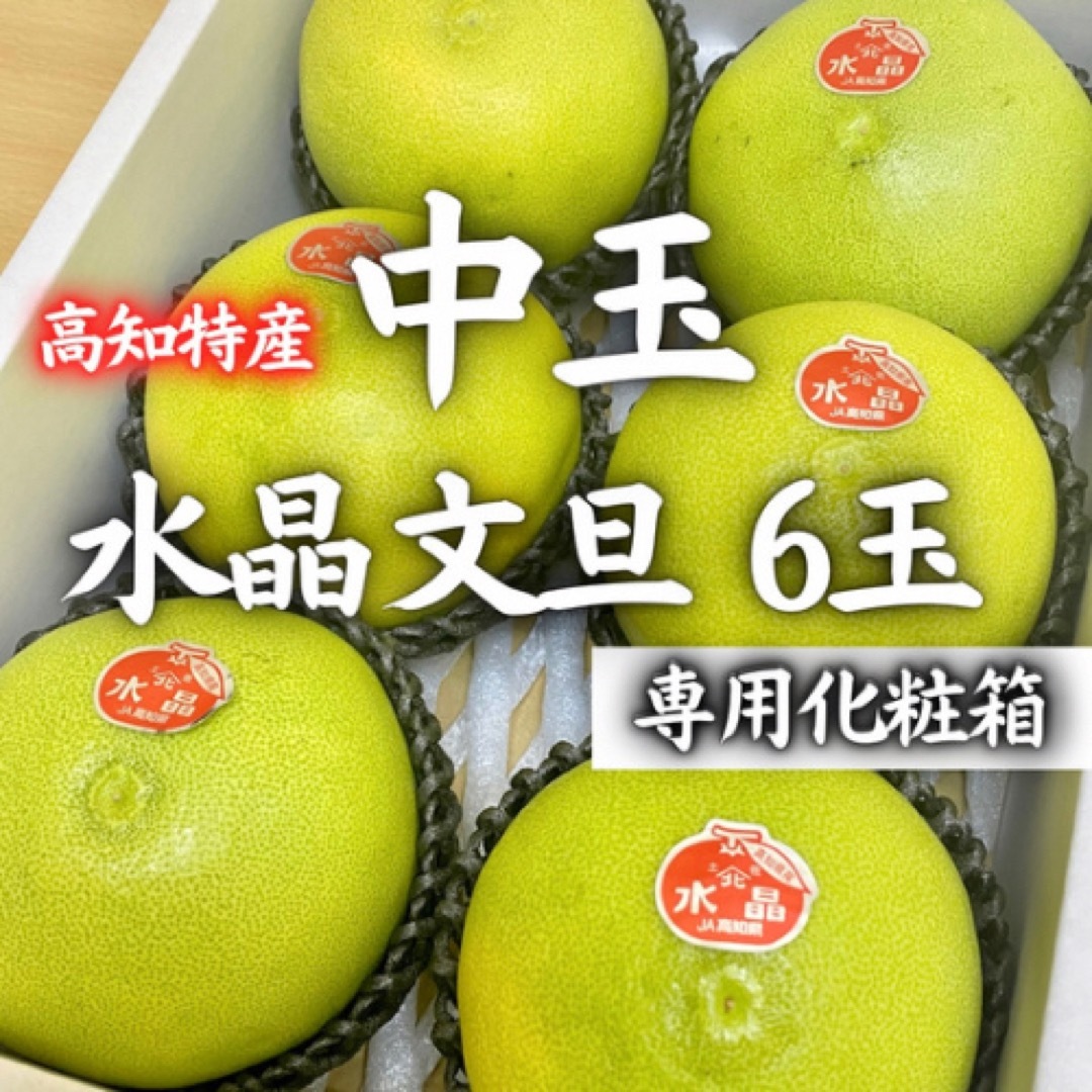 14高知特産 水晶文旦  約3kg 6玉 専用化粧箱 文旦 秀品 食品/飲料/酒の食品(フルーツ)の商品写真