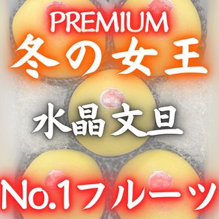 12高知特産 水晶文旦  大玉5～6玉 専用化粧箱 文旦(フルーツ)