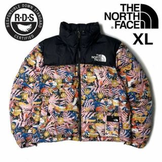 レディースS north face nuptse international