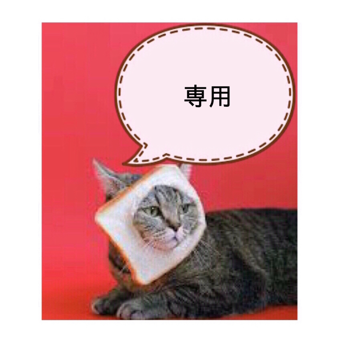 専用です(♡ᴗ͈ˬᴗ͈) アクリル刻印 オーダー レザークラフトの通販 by